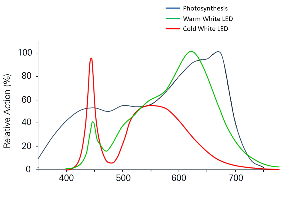 LED + Action spectra.png