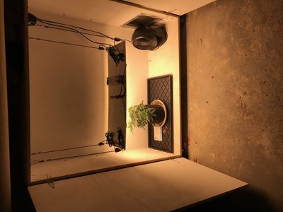 Grow Cabinet w LED Lights.jpg