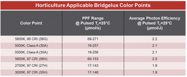 BridgeLuxHorticulture.jpg